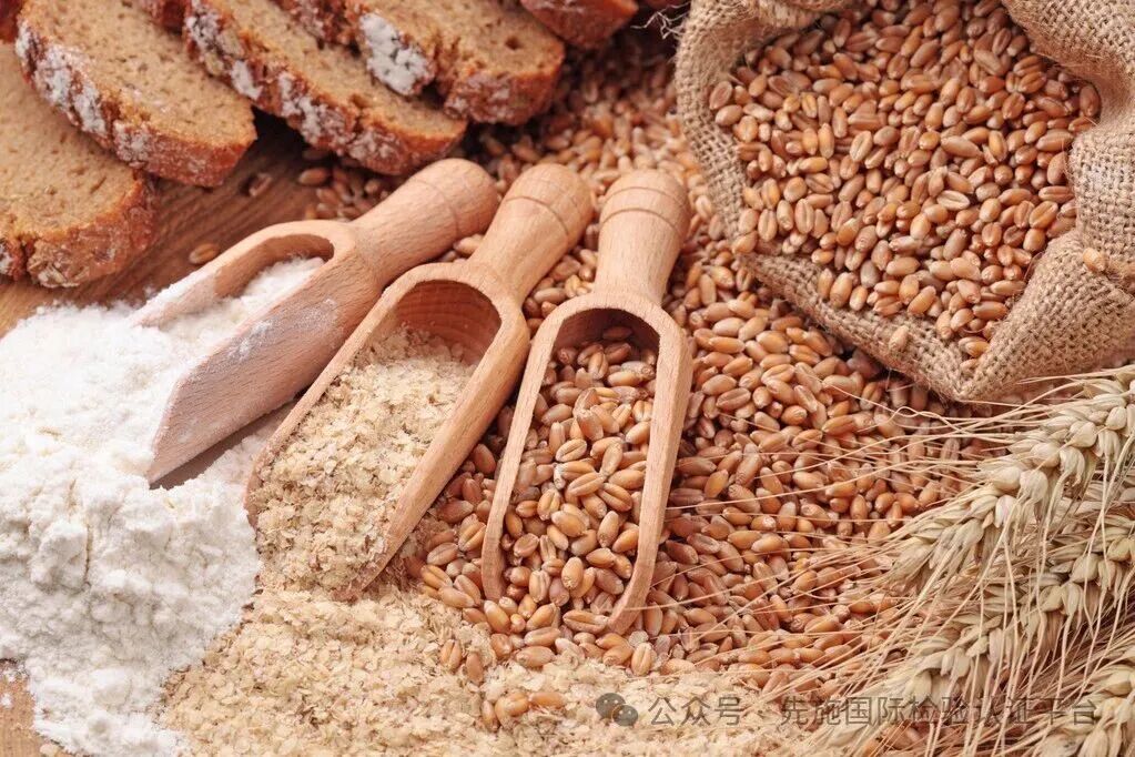 Food products categories
